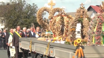 Miasto dziękuje za plony