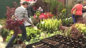 XVI Eko-Wystawa w Pietrowicach Wielkich