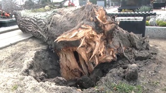 Pracowita noc strażaków