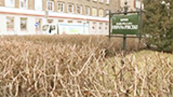 Modernizacja w centrum miasta