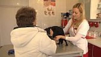 W trosce o zwierzęta