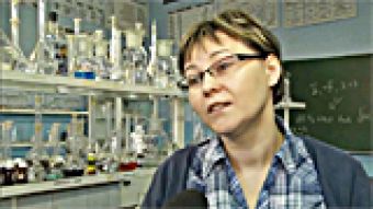 Najwięcej ofert dla „zawodowców”