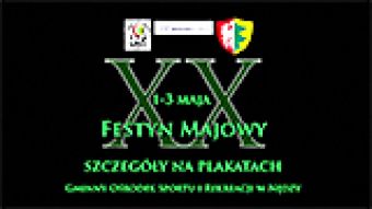 Festyn w Nędzy 2013 - spot