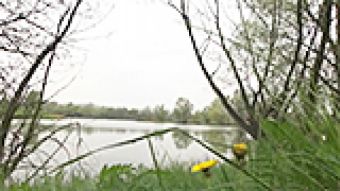 Żwirownię zamienią w kąpielisko