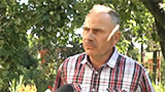 Pszczelarze biją na alarm