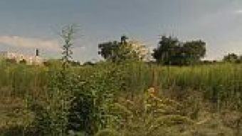 Działka przy Łakowej za 4,1 mln zł