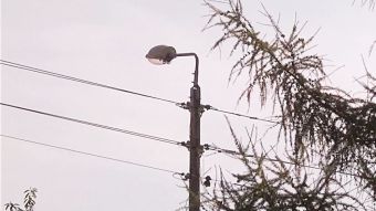 Mniej za prąd w Nędzy