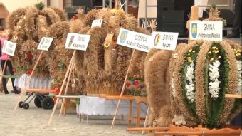 Dożynki powiatowe na zamku