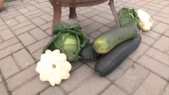 Święto plonów w Raciborzu