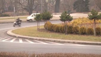 Ciepła zima = oszczędności?