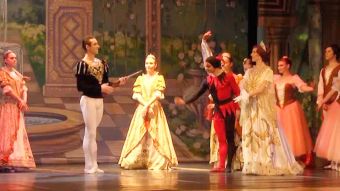 "Jezioro łabędzie"