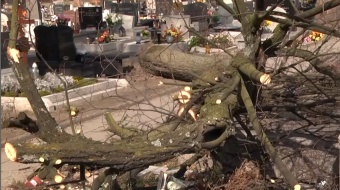 Okazja do pokrycia strat