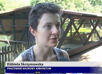 Arboretum - las możliwości