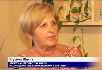 Miasto kwitnie na wiosnę i lato