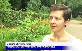 Arboretum bankiem nasion