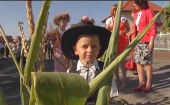 Dożynkowy nawigator