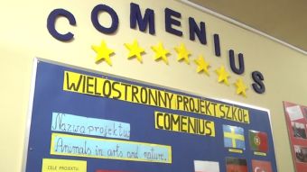 6 krajów Europy w Markowicach