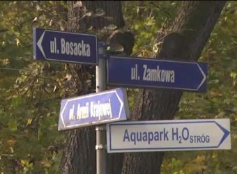 Przyglądają się ulicom