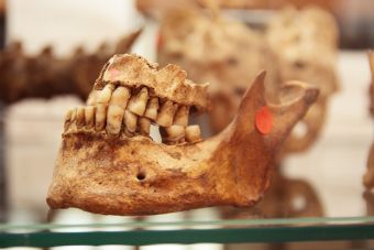 Cztery lata kopali i badali