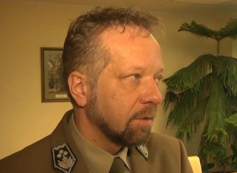 O wyższości żywej choinki