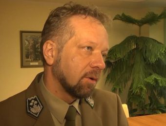 Las obserwuje swoich gości