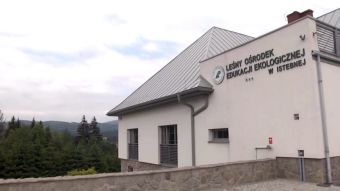 Leśnictwo w Istebnej