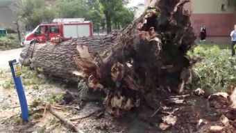 Widok miasta po burzy