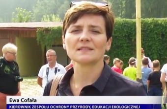 Kolonie z WFOŚiGW w Jaworzynce