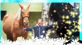 Aquabrax zaprasza na ferie w siodle