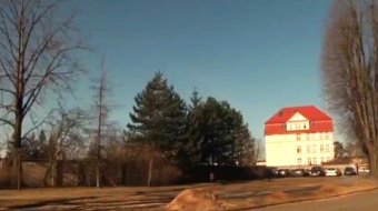 Wycinka drzew w Raciborzu