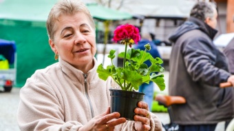 Kwiaty i rękodzieło