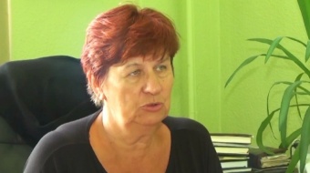 Jak przepisowo wycinać drzewa