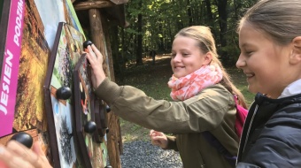 Zielona klasa w Arboretum