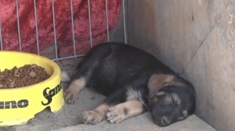 Sprzedaj, kup, pomóż!