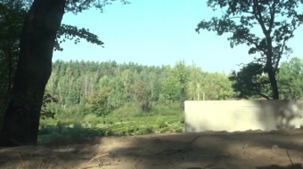 Platforma w arboretum