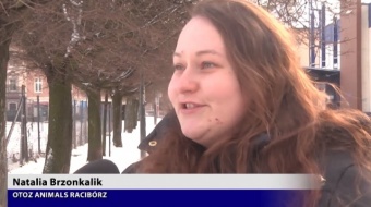 Apel o pomoc OTOZ Animals