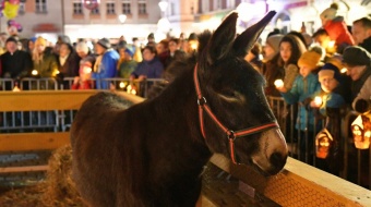 Stajenka dla raciborskim Rynku