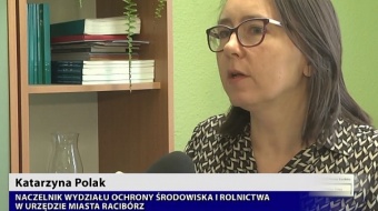 Jak wypełnić, co zrobić?