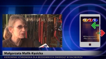 Schronisko w czasie epidemii