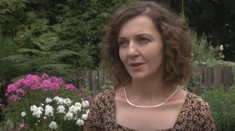 Zbuduj domek dla owadów