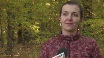 Kąpiele leśne w Oborze