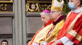 Mniszka w drodze na ołtarze