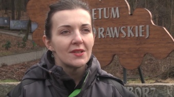 Czy to już przedwiośnie?