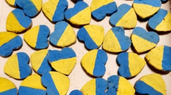 Bratnia pomoc dla Tyśmenicy