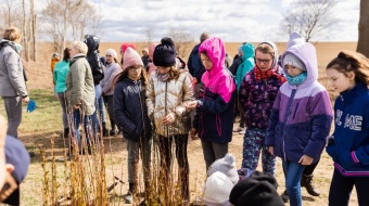 Wiosenne sadzenie drzewek w Krowiarkach