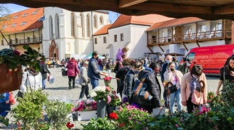 Wystawy, koncerty, jarmarki