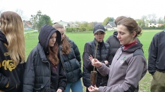 Odnawianie i zalesianie