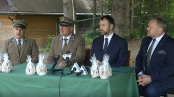 WFOŚiGW wspiera lasy