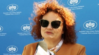 Program Czyste powietrze w woj. śląskim