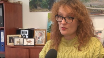 Taneczne widowisko MDK-u